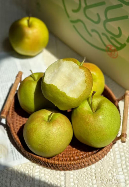 礼盒装玉露香梨 商品图3