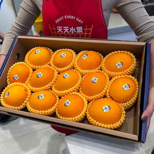 进口金巴利甜橙 大果 橙子 礼盒 商品图9