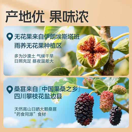 【限时一口价21.9元】无花果桑葚派200g 商品图2