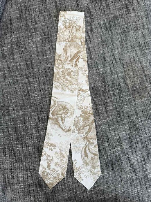 女款Twilly丝巾010 商品图0