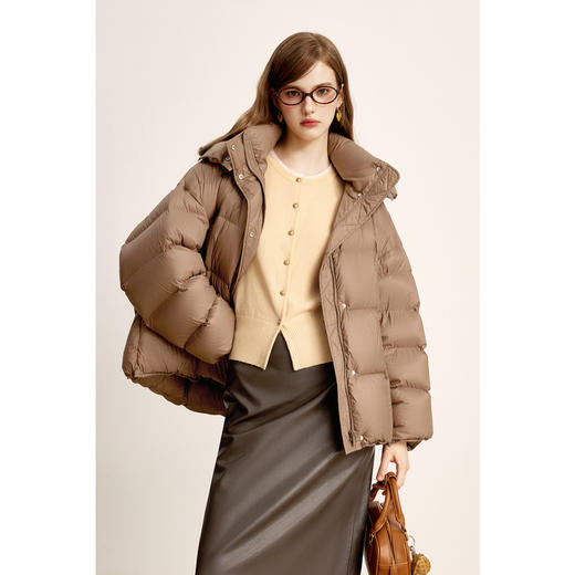 【商场同款】诗凡黎可拆卸帽领鸭绒羽绒服2024冬新款女3FA480071R 商品图0