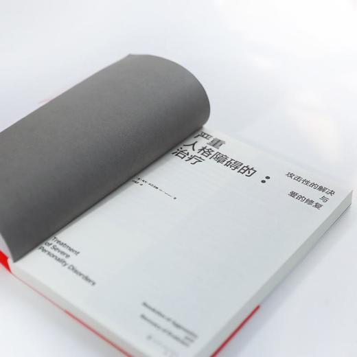 严重人格障碍的治疗：攻击性的解决与爱的修复 商品图2