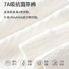 【不卷边 不夹臀 才是好内裤 】60S女士纯棉平角内裤女高腰大码提臀收腹7A蚕丝yi菌打底裤女新款新品 商品缩略图2