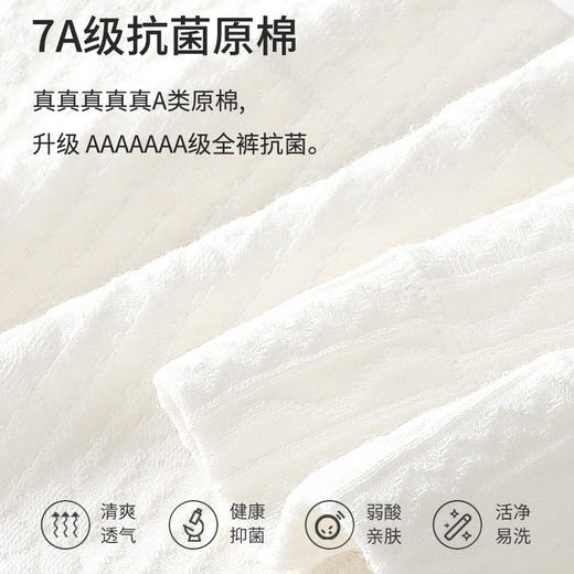 【不卷边 不夹臀 才是好内裤 】60S女士纯棉平角内裤女高腰大码提臀收腹7A蚕丝yi菌打底裤女新款新品 商品图2