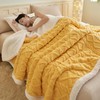 【冬天不再冷飕飕】秋冬毛毯加厚塔芙蓉毯子保暖床单ins风办公室空调毯沙发毯午睡毯。rb 商品缩略图5