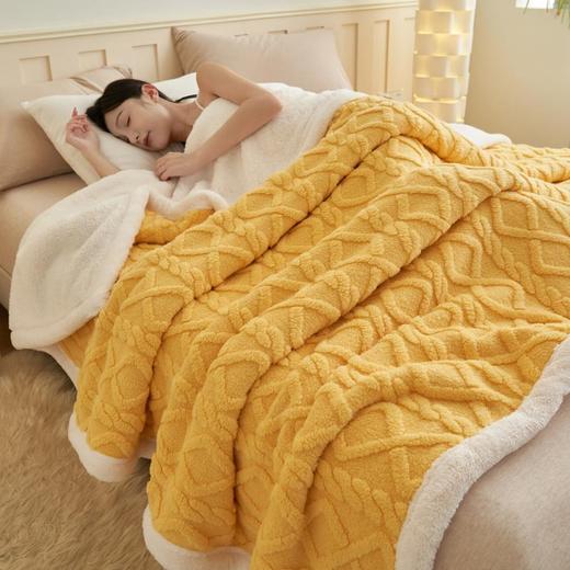 【冬天不再冷飕飕】秋冬毛毯加厚塔芙蓉毯子保暖床单ins风办公室空调毯沙发毯午睡毯。rb 商品图5