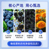 【清心湖甄选&全网比价】河西女子蓝莓黑枸杞桑葚原浆/有机蔓越莓原浆 100%纯原浆不加一滴水 低温萃取 营养保留更全面鲜果鲜榨多种营养 学生.上班族必备 商品缩略图9