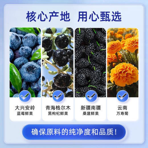 【清心湖甄选&全网比价】河西女子蓝莓黑枸杞桑葚原浆/有机蔓越莓原浆 100%纯原浆不加一滴水 低温萃取 营养保留更全面鲜果鲜榨多种营养 学生.上班族必备 商品图9
