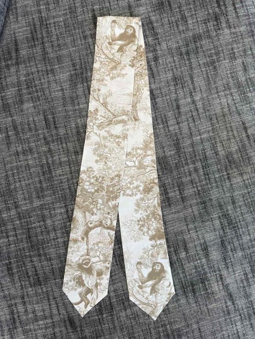 女款Twilly丝巾010 商品图1