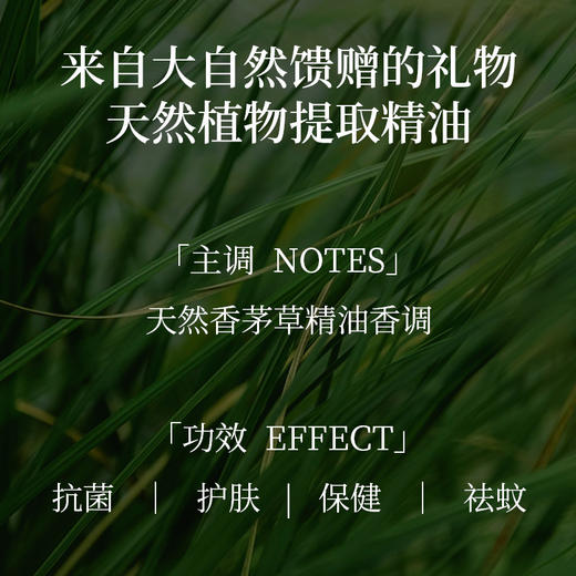 花里家设计师款花小婵中长筒袜5双装 商品图2