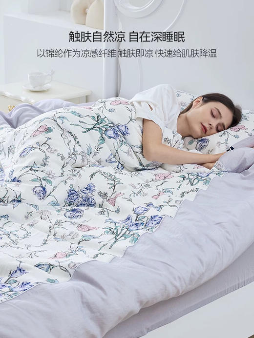 Domiamia 成人凉感四件套 夏季床笠款滑套件 商品图1