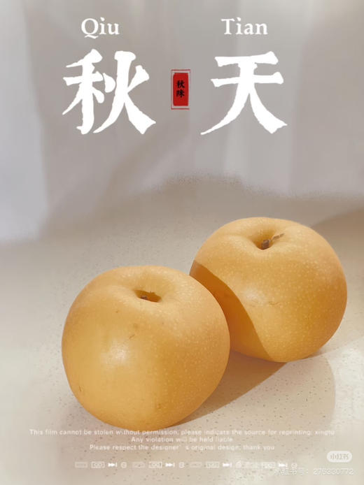 礼盒装白秋月梨富美 商品图7