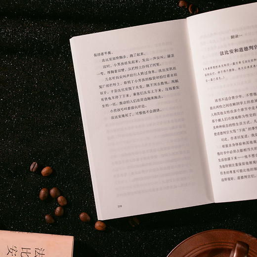 法比安 献给大萧条时代的小镇青年（德）埃里希·凯斯特纳 著 商品图4