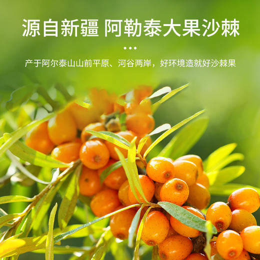 【疆果乐】沙棘果汁饮料3000ml 商品图1