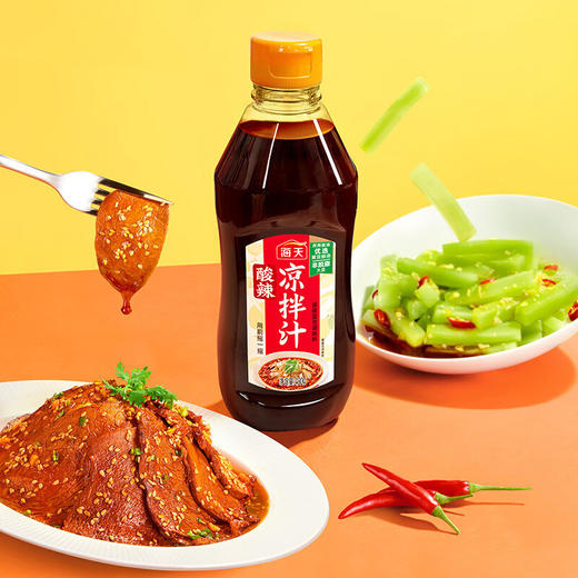 海天酸辣凉拌汁 480ml 商品图3