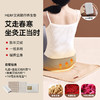 【养生坐垫 四季呵护】MERF美泛艾尚随行垫MF-2401 移动式艾灸热敷坐垫 一垫多用全身受益  可定时控温 可拆易清洗 商品缩略图8