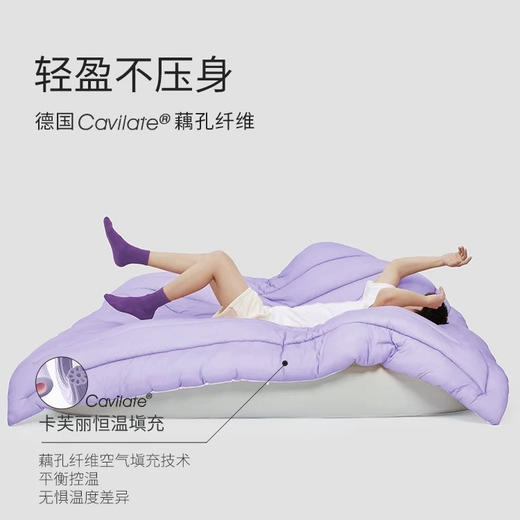 礼兀 蚕丝德绒养肤控温被 深睡控温被透气被子被芯 商品图2