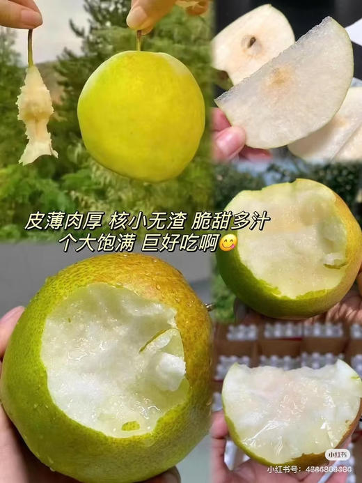礼盒装玉露香梨 商品图1