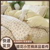 【亲肤柔软！AB双版设计】A类四季款双层四件套提花小竺三件套学生宿舍ins清新碎花床上用品。rb 商品缩略图0