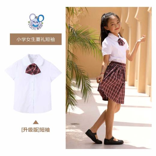 升级版小学女夏礼服【雅兰特】深圳校服 商品图4