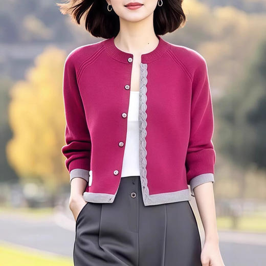 2025秋冬季款假两件针织衫NE241D9711038 商品图1