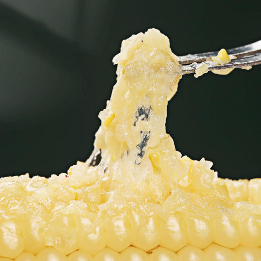 滇枝萃云南西双版纳拇指小玉米 商品图11