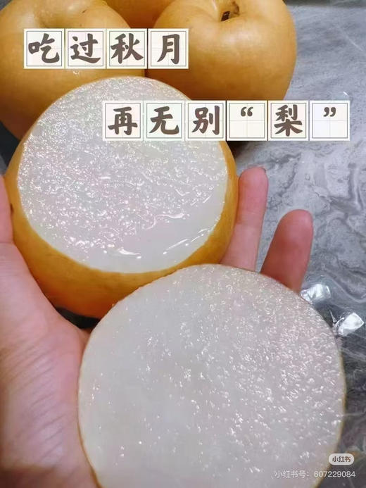 礼盒装白秋月梨富美 商品图9