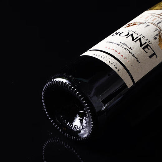 法国鲁顿勃纳城堡干红葡萄酒（双支带皮盒）750ml*2【LXGWDX4.0】 商品图3