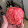 国家地理标志产品·洛川苹果红富士苹果 鲜爽脆嫩 直击味蕾 商品缩略图5