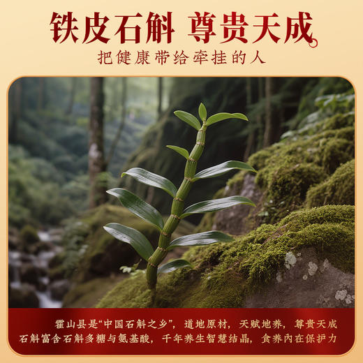 【食养中秋礼盒】九阳豆浆铁皮石斛八珍食养豆浆粉礼盒送父母长辈 商品图2