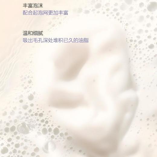 参侍黑骑士黑人参皂100g/块 商品图2