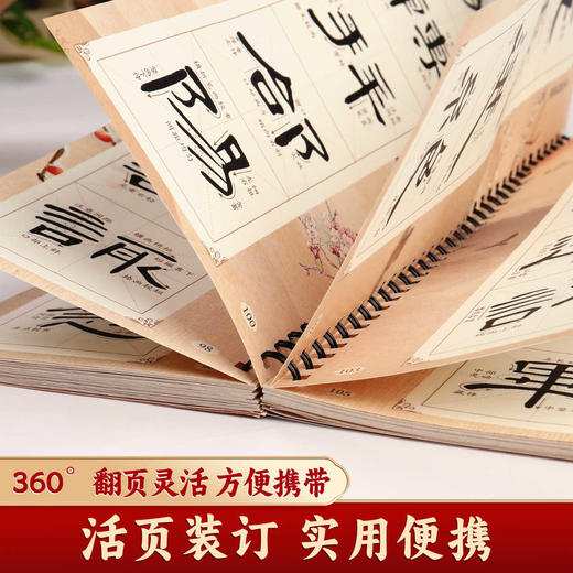 【近距离临摹字卡】毛笔字帖书法入门王羲之行书宋徽宗瘦金体千字文曹全碑隶书赵孟頫胆巴碑经典高清修复放大原碑帖字帖 商品图3