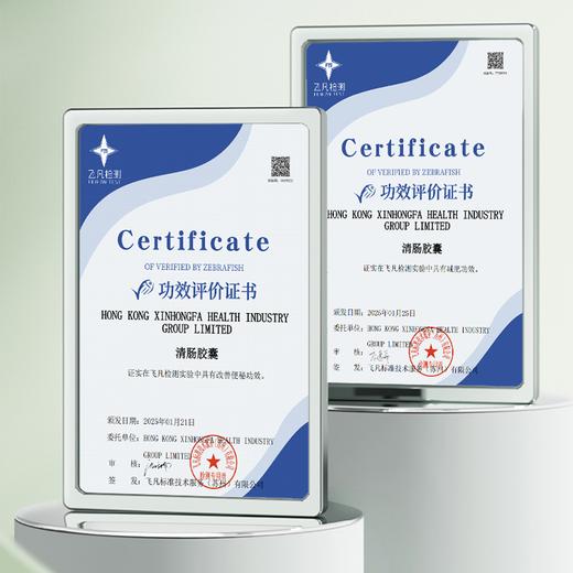 GTTOE清肠胶囊2周清畅益生元益生菌 商品图8