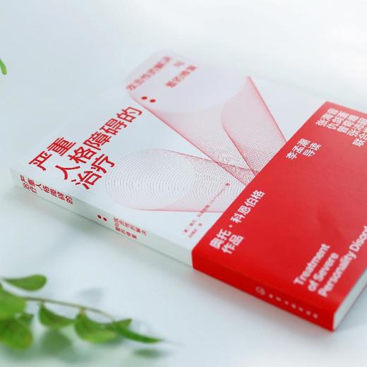 严重人格障碍的治疗：攻击性的解决与爱的修复 商品图1