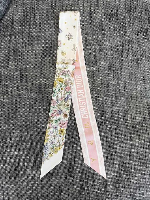 女款Twilly丝巾010 商品图1