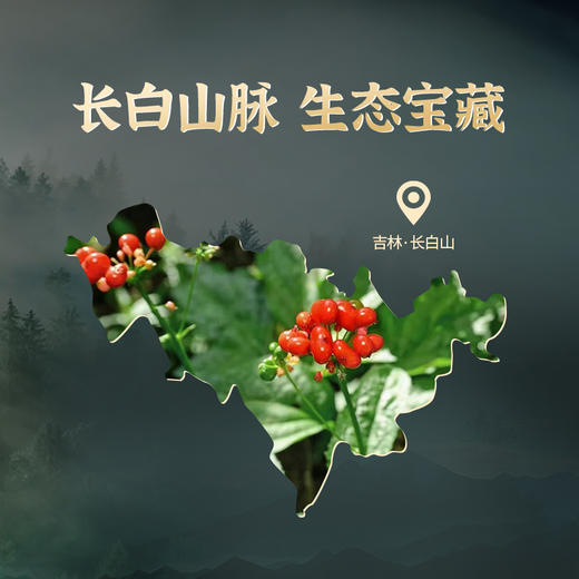 劲牌持正堂10年林下参礼盒 商品图1