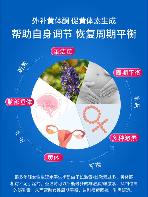 史达德圣洁莓精华片 100片/瓶 商品图3