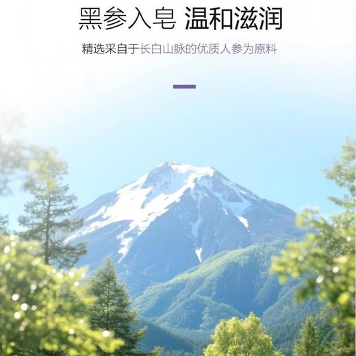 参侍黑骑士黑人参皂100g/块 商品图4