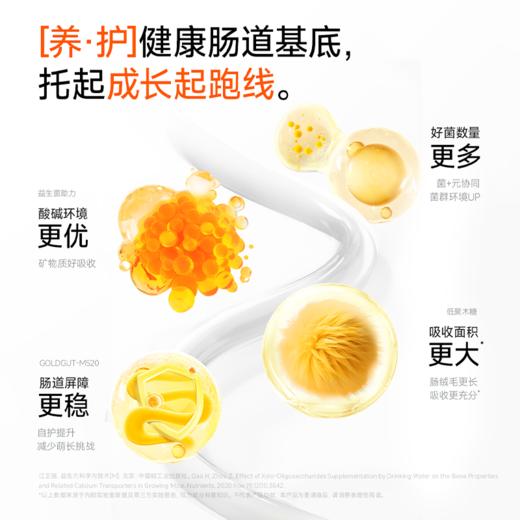 830 万益蓝（WONDERLAB）grow by儿童益生菌3阶小黄瓶肠胃200亿婴幼儿基础款6-12岁2g*30瓶装 商品图5