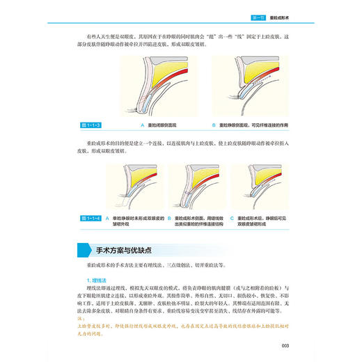 美容手术原理与实操 曹政 介绍了美容外科常见手术的围术期注意事项 初级医师 医师助理及求美者了解美容手术 辽宁科学技术出版社 商品图3