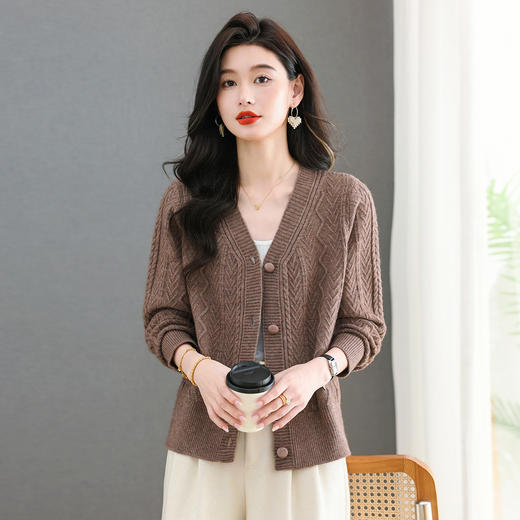 春秋季外套女士2025新款V领小个子宽松显瘦提花针织开衫短款上衣 商品图1