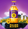 【YMHR】福临门黄金小黑葵 商品缩略图2
