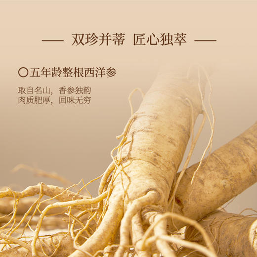 秋冬滋补玉灵膏 | 甄选5年龄整根西洋参 广西博白5A级龙眼肉 非遗六百年传承古法制膏 气血双补 商品图3