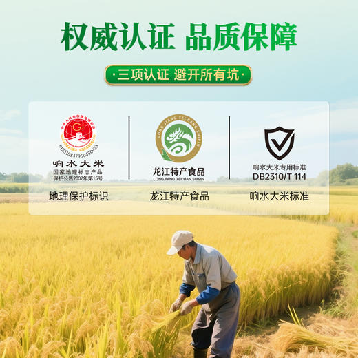 响水大米长粒香大米2.5kg东北大米家庭用国货装5斤装真空包装5kg 商品图2