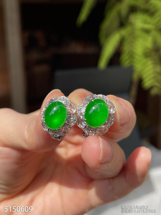 老坑艳绿蛋面耳钉【5150609】具体价格微信咨询 商品图3