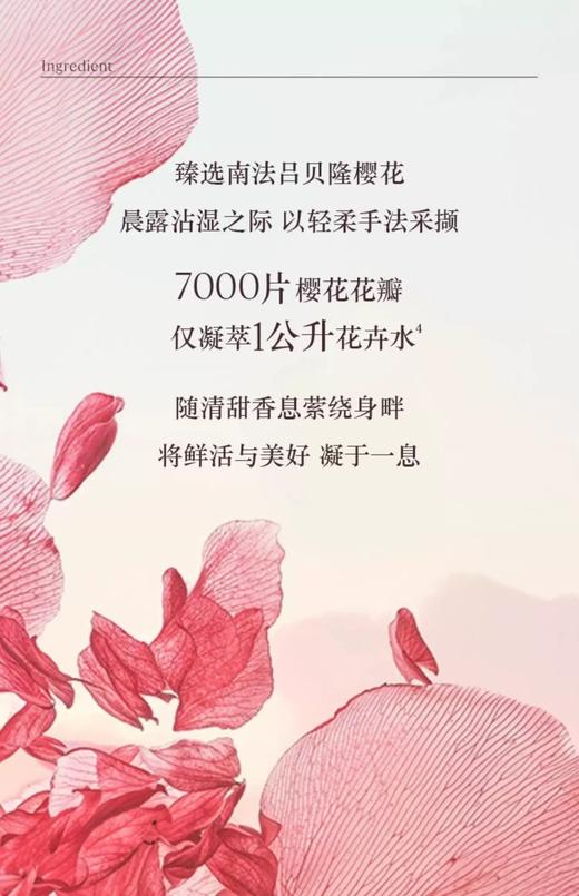 一店d 正𝐩𝐢𝐧欧舒丹  第二代樱花系列 月销𝟏𝟎𝟎𝐰➕的身体乳和沐浴露
全～新升级配方 商品图7