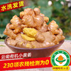 云南文山有机小黄姜 鲜姜采挖水洗发货 商品缩略图0