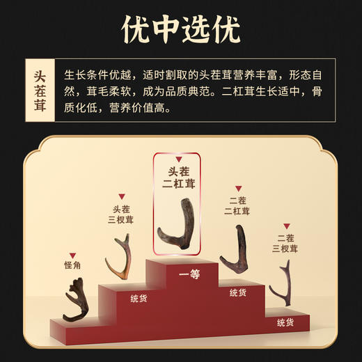 劲牌持正堂鹿茸片礼盒 商品图3
