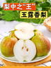 礼盒装玉露香梨 商品缩略图2