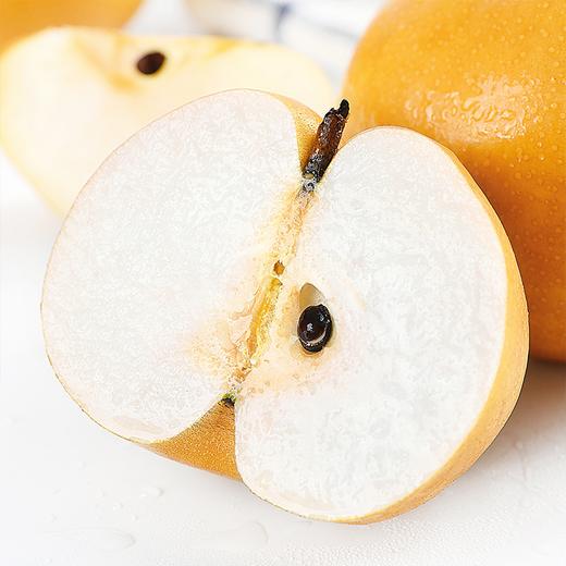  【秋月梨】酥脆爽口 冰糖甜无渣 皮薄肉厚 新鲜水果！ 商品图6